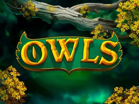 Owls